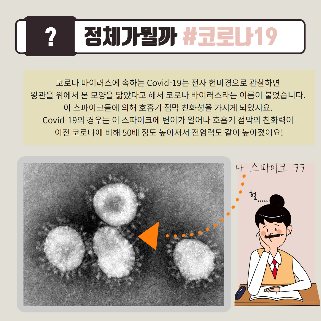 [?] 정체가 뭘까 #코로나19, 코로나 바이러스에 속하는 Covid-19는 전자 현미경으로 관찰하면 왕관을 위에서 본 모양으로 닮았다고 해서 코로나 바이러스라는 이름이 붙었습니다. 이 스파이크들에 의해 호흡기 점막 친화성을 가지게 되었지요. Covid-10의 경우는 이 스파이크에 변이가 일어나 호흡기 점막의 친화력이 이전 코로나에 비해 50배 정도 높아져서 전염력도 같이 높아졌어요!